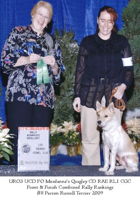 FFCRR2009