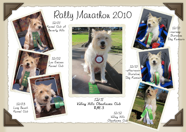 rallymarathon