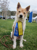 ukc2010-01a