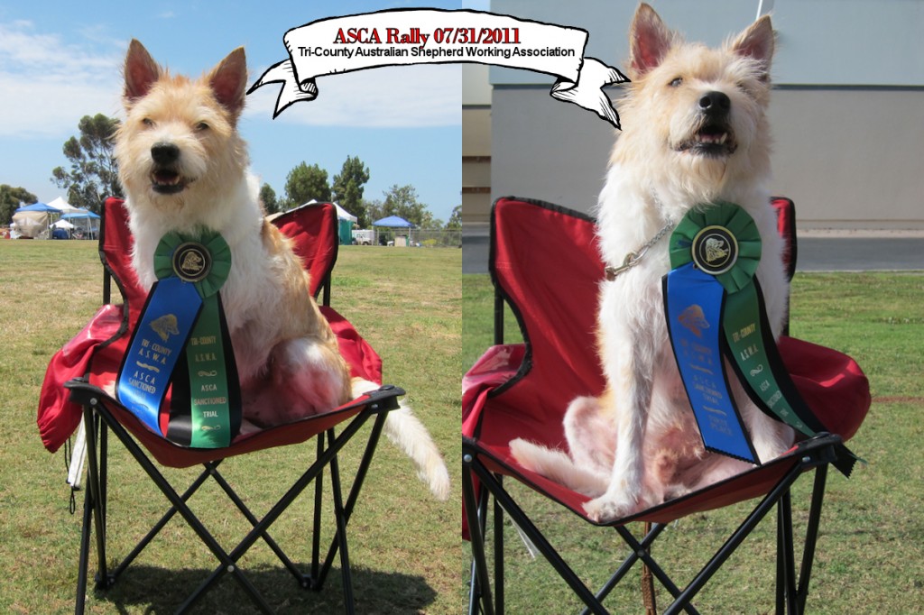 ascajuly2011