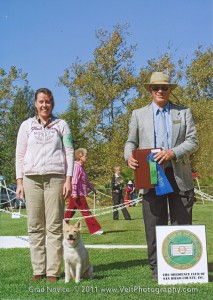 2011-10-16akc-gn_title
