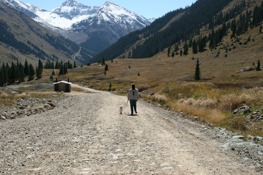 In the Mountains